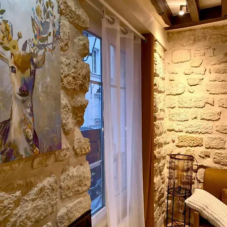 Loft For 4 By Chatelet & Montorgueil & Metro N2-46 パリ