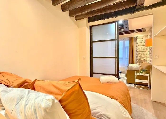 公寓 Loft For 4 By Chatelet & Montorgueil & Metro N2-46 *